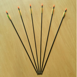 Kids Arrow Set (10 ea)